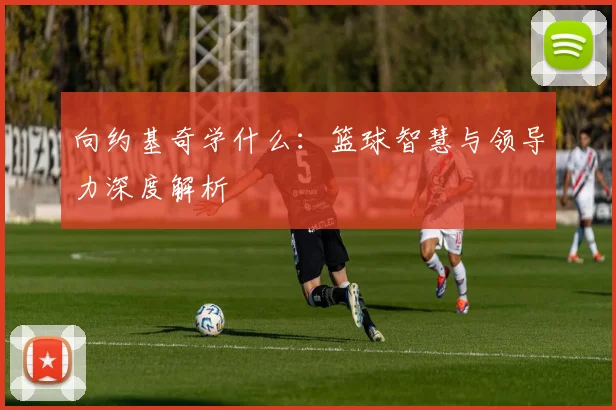 向约基奇学什么：篮球智慧与领导力深度解析