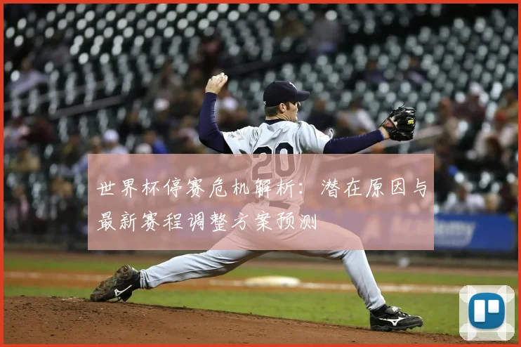 世界杯停赛危机解析:潜在原因与最新赛程调整方案预测